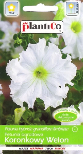petunia-koronkowy-welon.webp