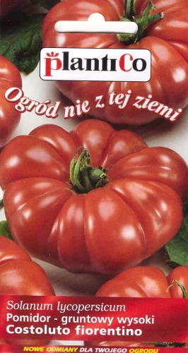 pomidor-costoluto-fiorentino.webp