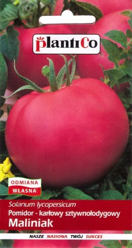pomidor-maliniak.webp