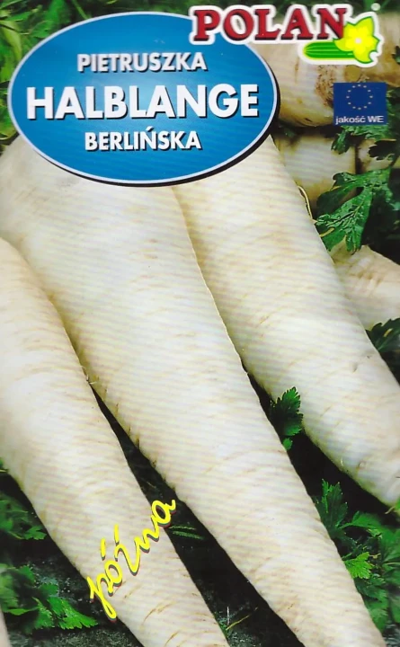 pietruszka-halblange-berlińska.webp