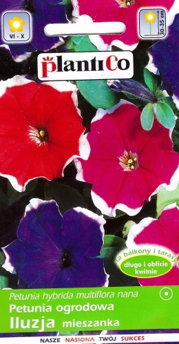 petunia iluzja mieszanka.jpg