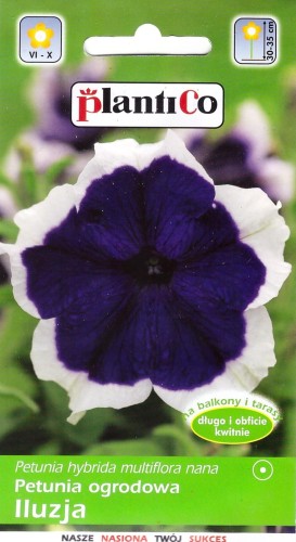 petunia iluzja niebieska.jpg