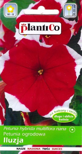 petunia iluzja czerwona.jpg