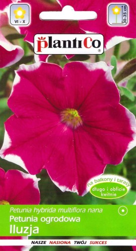 petunia iluzja różowa.jpg