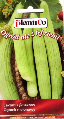 ogórek melonowy fegouz.jpg