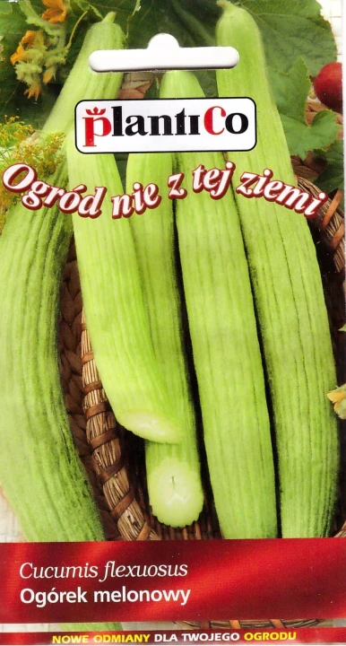 ogórek melonowy fegouz.jpg