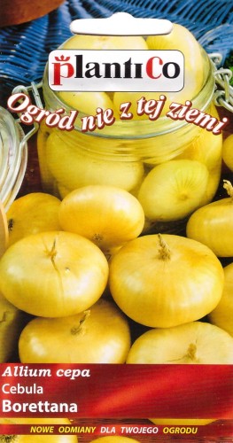 cebula borettana.jpg