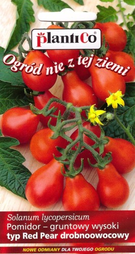 pomidor red pear.jpg