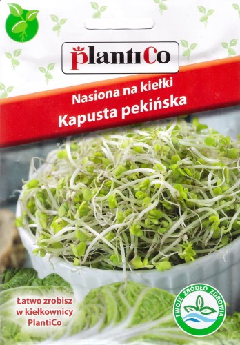 kapusta pekińska na kiełki.jpg