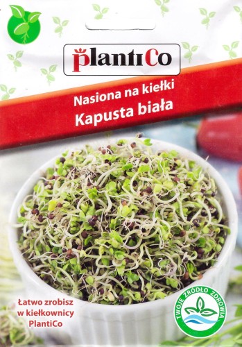 kapusta biała na kiełki.jpg