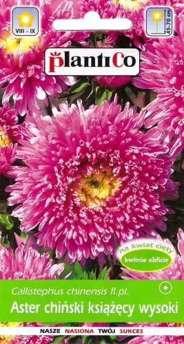 aster-chinski-ksiazecy-wysoki-rozowy.jpg