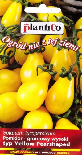 pomidor yellow pearshaped.jpg