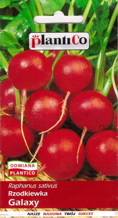 rzodkiewka galaxy.jpg
