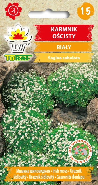 Karmnik-ościsty-BIAŁY.jpg