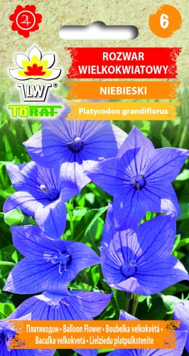 Rozwar wielkokwiatowy.jpg