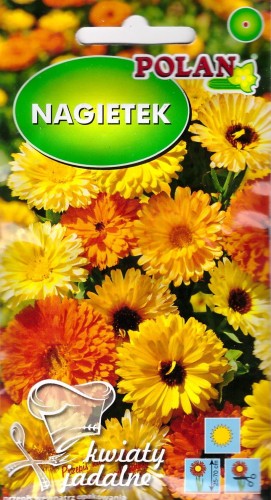 nagietek lekarski.jpg