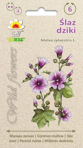 Wild-flowers-Ślaz-dziki.webp