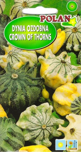 dynia-crown-of-thorns.webp