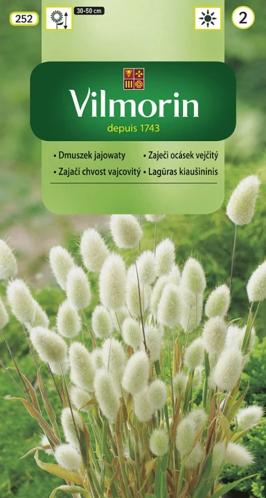 dmuszek-jajowaty-biały.webp
