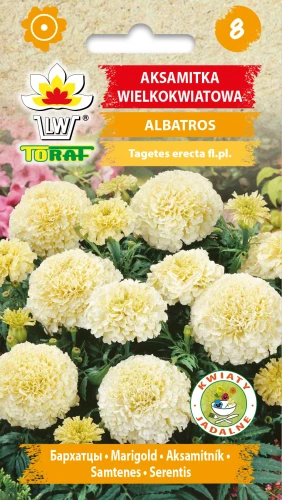 Aksamitka-wielkokwiatowa-niska-ALBATROS.webp