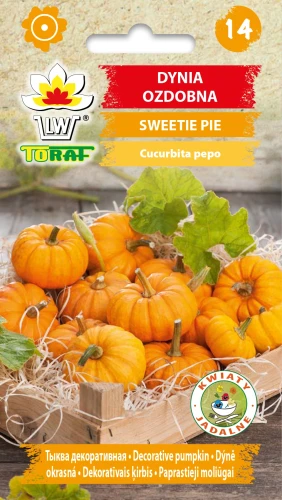 Dynia-ozdobna-SWEETIE-PIE.webp