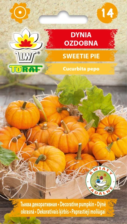 Dynia-ozdobna-SWEETIE-PIE.webp