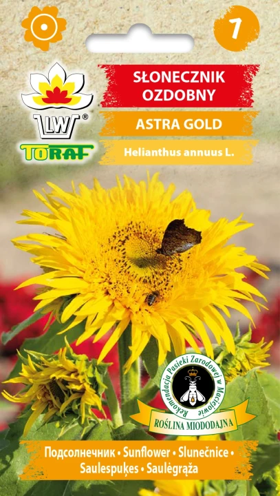 Słonecznik-ASTRA-GOLD.webp