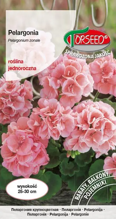 Pelargonia-F1-łososiowa.webp