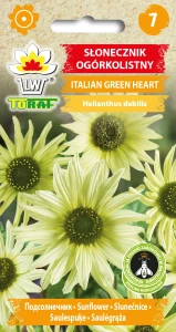 Słonecznik ozdobny ogórkolistny Italian Green Heart nasiona 0,5g Toraf