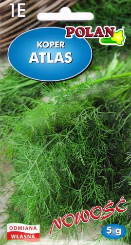 koper-atlas.webp