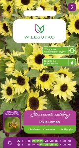 Słonecznik ozdobny karłowy Pixie Lemon nasiona 2g Legutko