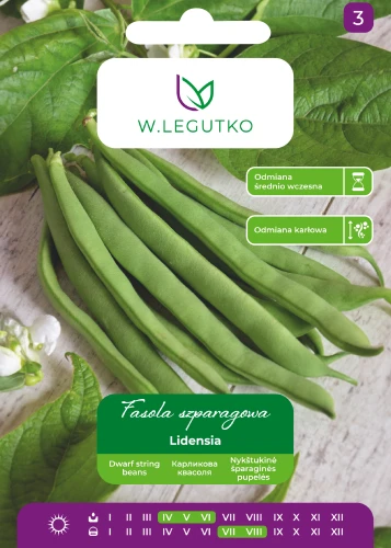 fasola-lidensia.webp