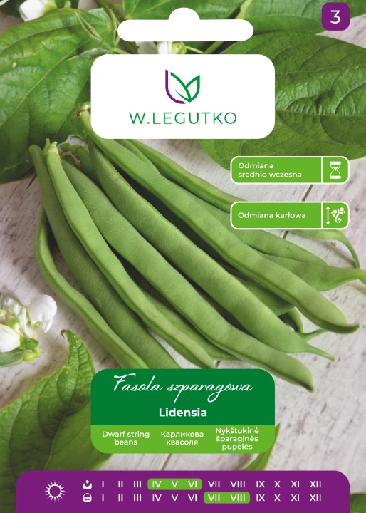 fasola-lidensia.webp