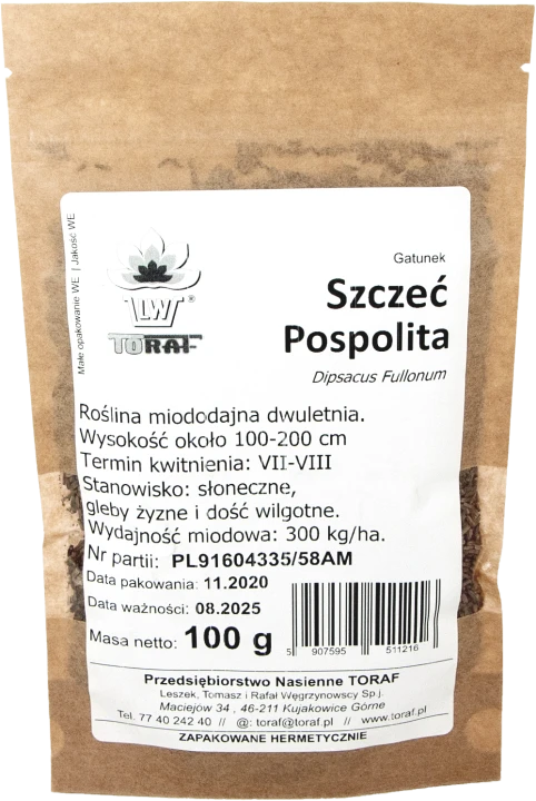 Szczeć-pospolita-100g.webp