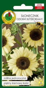 Słonecznik ozdobny Buttercream F1 nasiona 20 sztuk PNOS