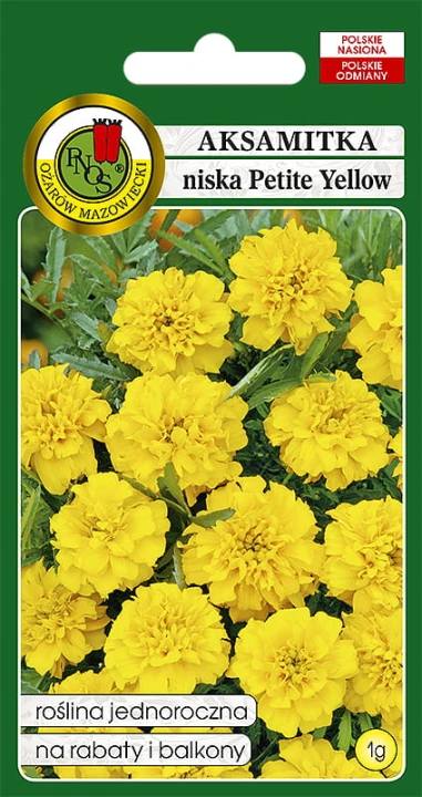 aksamitka niska petite yellow.jpg