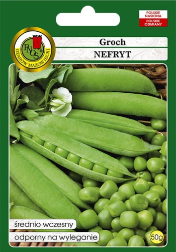 groch Nefryt.jpg