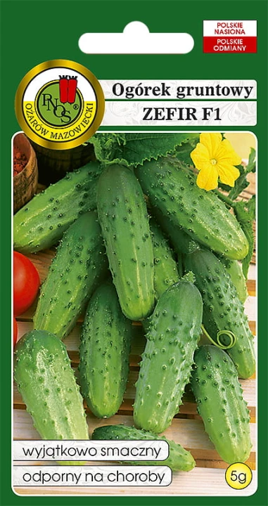 ogorek zefir.jpg