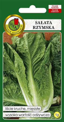 Salata rzymska.jpg