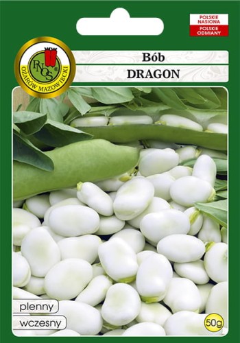 Bob Dragon.jpg