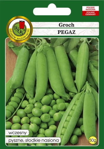 groch Pegaz.jpg