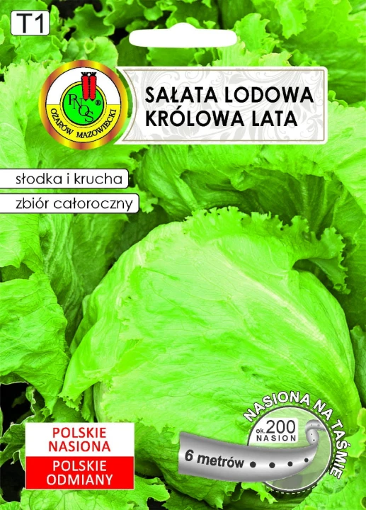 SAŁATA GŁOWIASTA KRUCHA KRÓLOWA LATA.jpg
