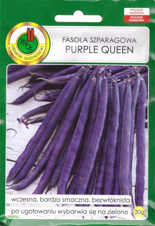 fasola purple queen.jpg