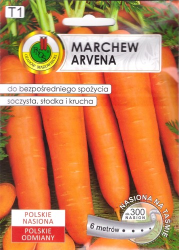 marchew arvena na taśmie.jpg