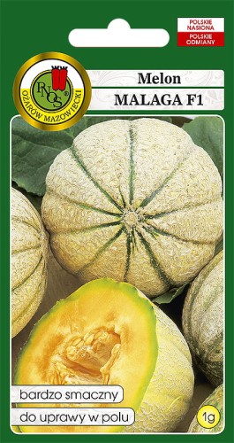 melon malaga.jpg