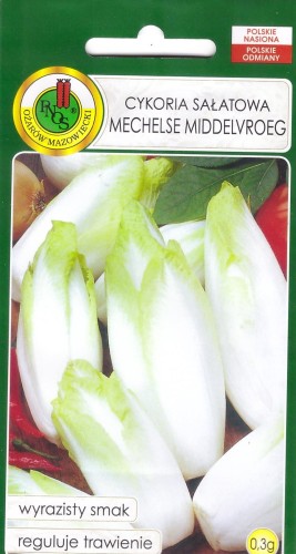 cykoria mechelse middelvroeg.jpg