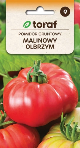 Pomidor-gruntowy-MALINOWY-OLBRZYM.webp