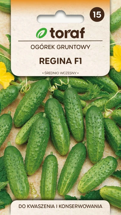 Ogórek-REGINA-F1.webp