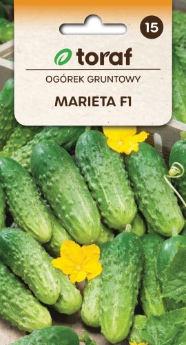 Ogórek-gruntowy-MARIETA-F1.webp