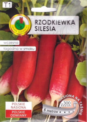 rzodkiewka silesia.jpg